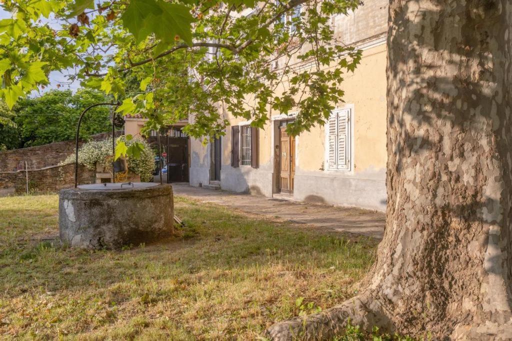 Vistasanlu Apartment Trieste Exterior photo